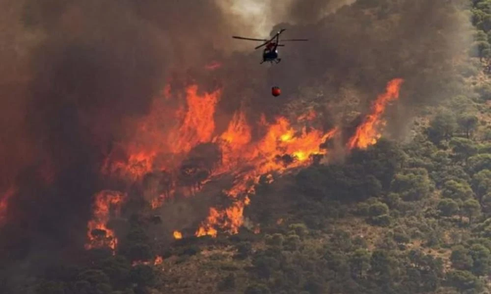 Σητεία: Σε εξέλιξη επιχείρηση για κατάσβεση πυρκαγιάς